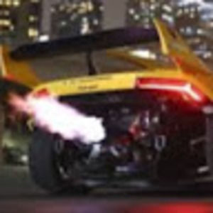 Meet your Posher, Noah